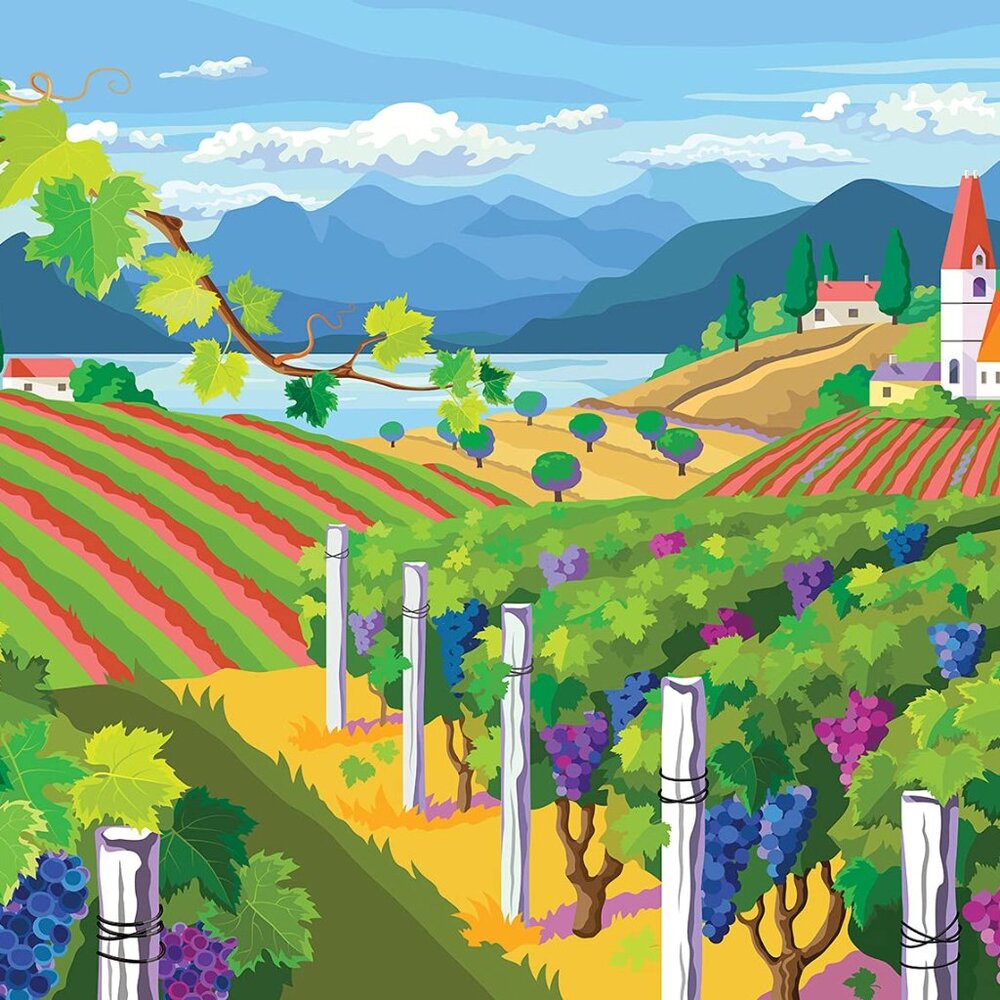 Colorcraft 1000 Piece Jigsaw Puzzle, Vibrant Vineyard - Complete